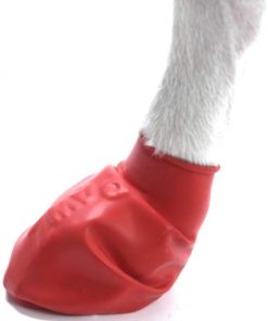 Pawz Rubber Dog Boots