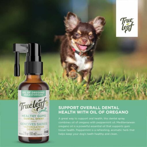 True Leaf Oregano Oil Dental Spray for Dogs 60ml