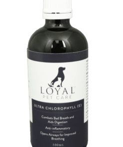 Liquid Chlorophyll for pets