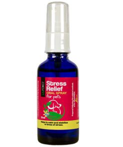 Stress relief oral spray for dogs