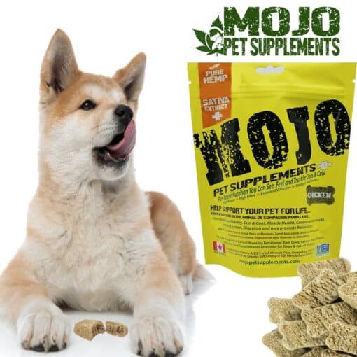 Mojo Pet Supplement CBD Hemp Sativa biscuit treats for dogs and cats.