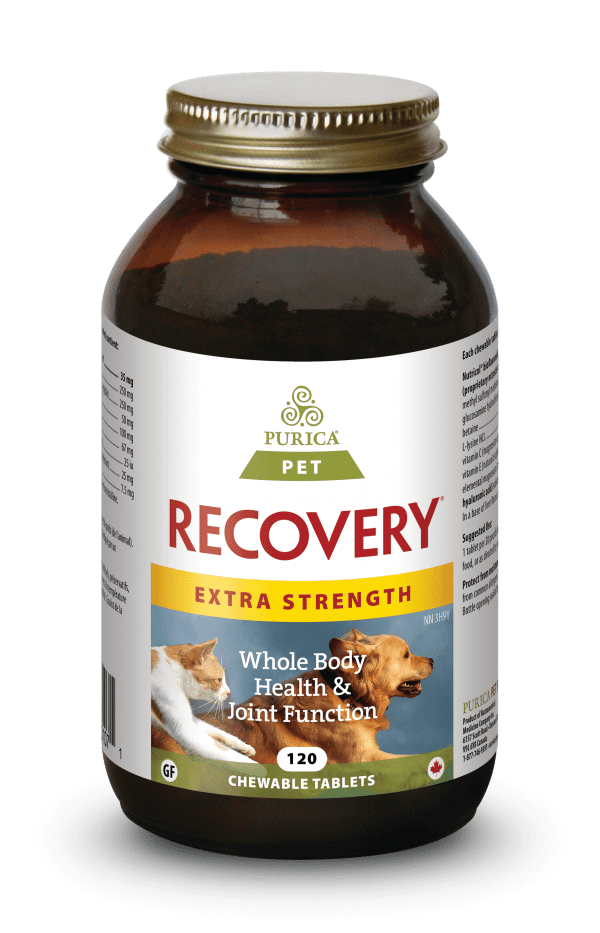 Purica Pet Recovery Extra strength tablets