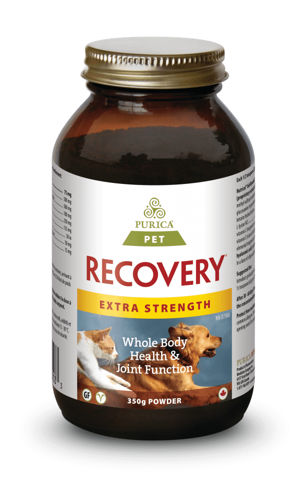 Purica Pet Recovery Extra strength powder