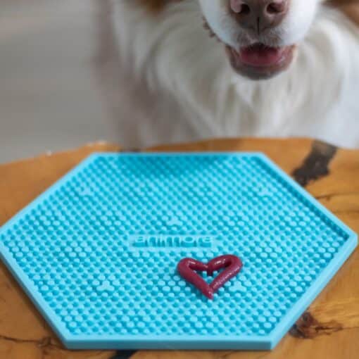 Animora Cranberry dental gel toothpaste for dogs and cats
