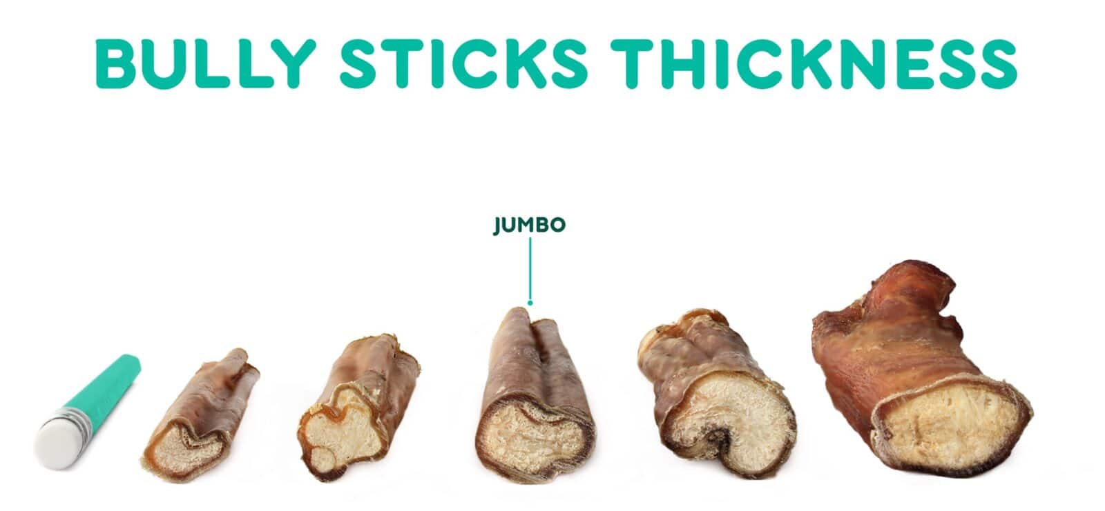 Super Can Bully Sticks Odour Free Jumbo size 6 inch Biopaw