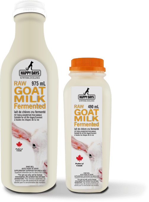Happy Days Dairy Raw Fermented Goat Milk 490ml | 975ml