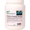 Organic Atlantic Sea Kelp – 750g
