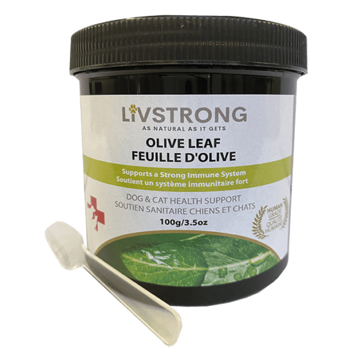 Livstrong Olive Leaf - 100g