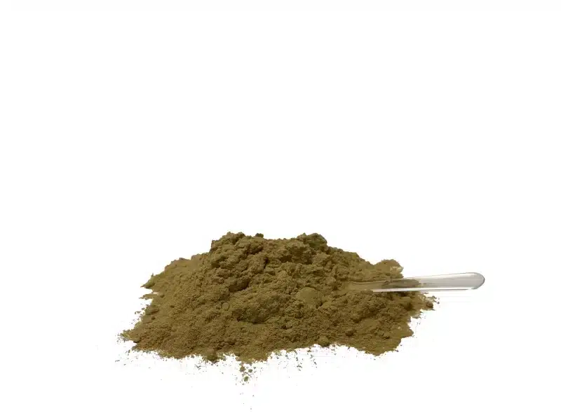 Livstrong Olive Leaf - Powder