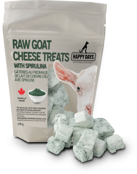 Raw Goat Cheese dog and cat treats by Happy Days Dairy