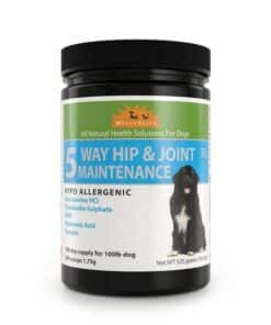 WellyTails 5 Way Hip & Joint Maintenance dog supplement Hypoallergenic.