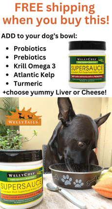 Welly Tails SuperSauce Dog health food topper