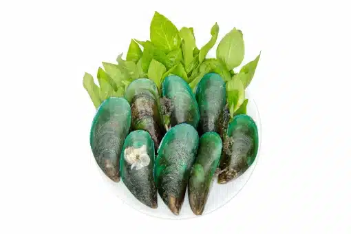 Livstrong - Green Lipped Mussel for Pets - 150g