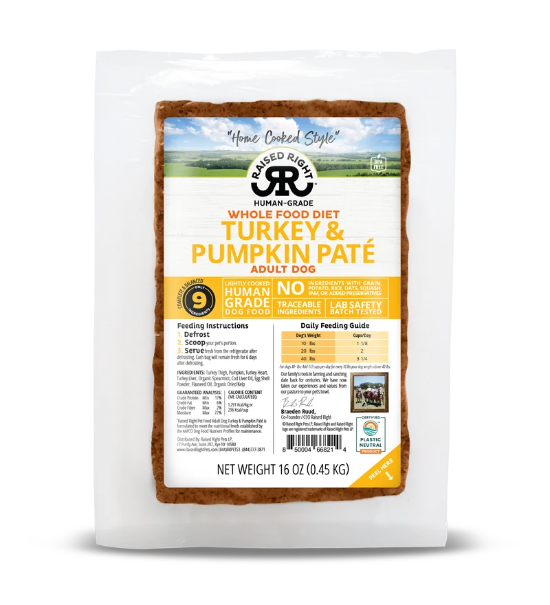 Raised Right Whole Food Diet Turkey Pumpkin Pat Adult Dog