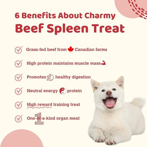 Charmy Beef Spleen Air-Dried Dog and Cat Treat 100g