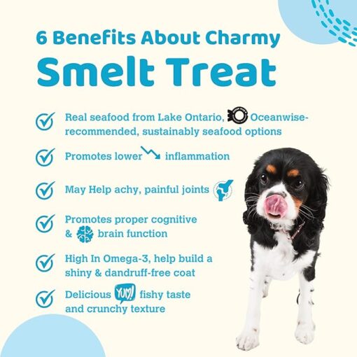 Charmy Lake Smelt Air-Dried Dog and Cat Treat 100g