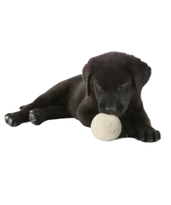 Moss Creek Wool balls for dogs