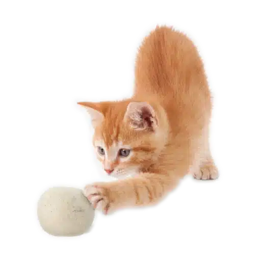 Moss Creek "Meow" Catnip Infused Wool Balls - Set of 2 in a cotton pouch