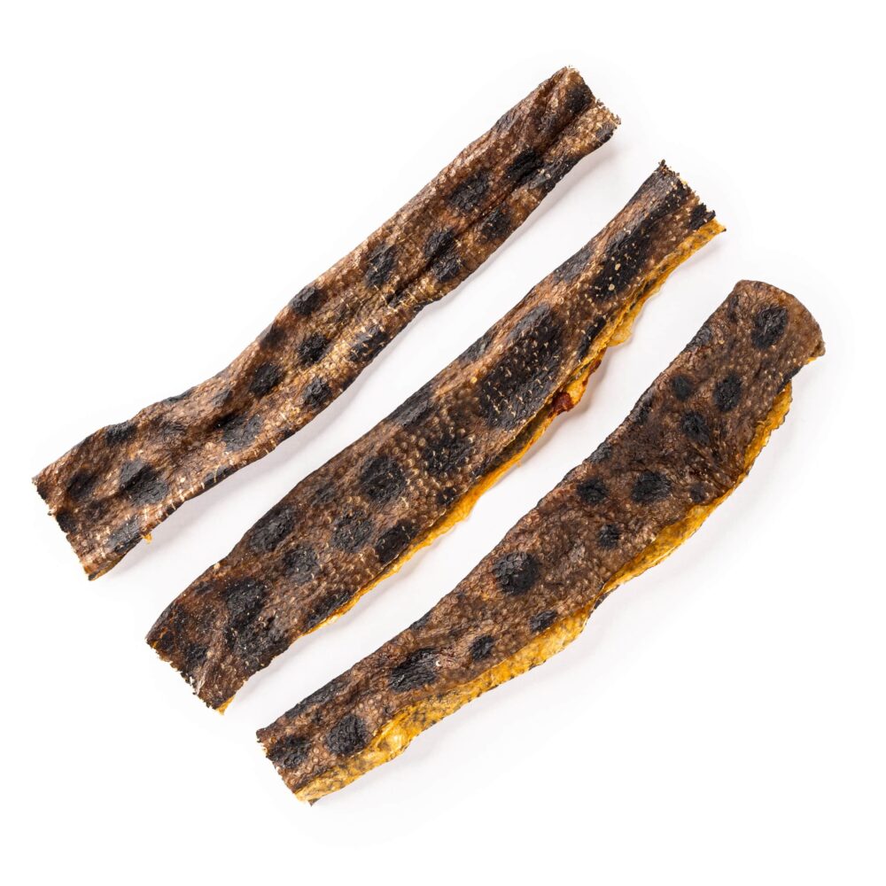 Sydney's Harbour Wolffish skin dog chews